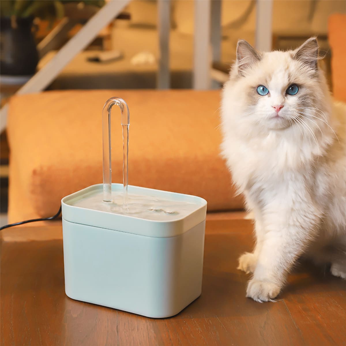 1.5L Cat Water Fountain with Auto Filter & Silent Operation