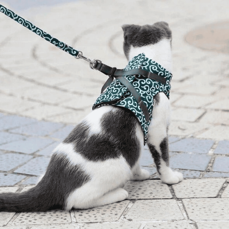 Anti-Escape Pet Harness & Leash – Breathable Chest Strap