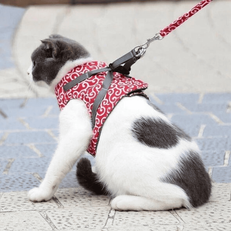 Anti-Escape Pet Harness & Leash – Breathable Chest Strap