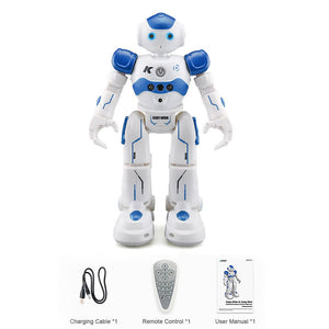 Intelligent Remote Control Robot