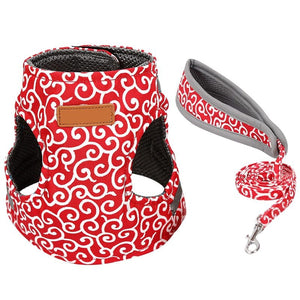 Anti-Escape Pet Harness & Leash – Breathable Chest Strap