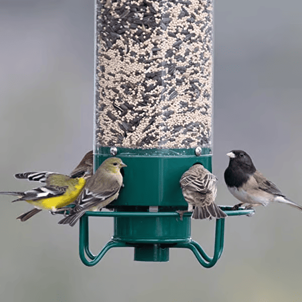 Squirrel-Proof Hanging Bird Feeder