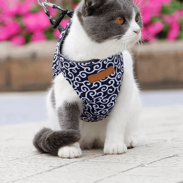 Anti-Escape Pet Harness & Leash – Breathable Chest Strap