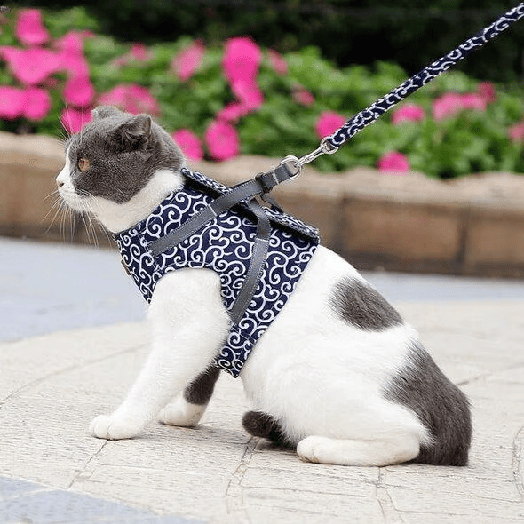 Anti-Escape Pet Harness & Leash – Breathable Chest Strap